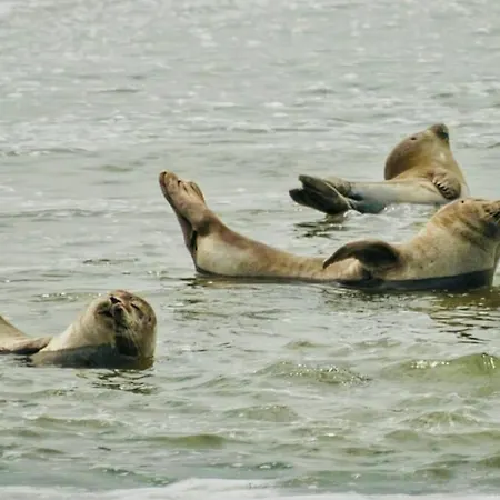 Διαμέρισμα Le Rose - T2 Chaleureux Proche De La De Et Des Commerces *