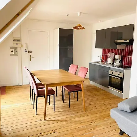 Le Rose - T2 Chaleureux Proche De La De Et Des Commerces Apartment