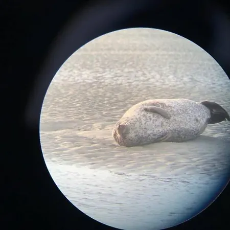 Le Rose - T2 Chaleureux Proche De La De Et Des Commerces * Berck